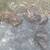 Interesting Rocks 1 thumbnail