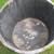 Wine Barrel Planter 2 thumbnail