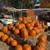 Free Pumpkins and Display Straw Bales 3 thumbnail