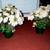 TWO Faux GARDEN FLOWER Pot Vintage Porch Patio Office Decoration Lot 1 thumbnail