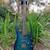 IBANEZ RG421PD 🌀🌀🌀🌀🌀🌀🌀🌀🌀🌀🌀🌀🌀🌀🌀🌀 10 thumbnail