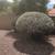 S landscaping and stable hand 17 thumbnail
