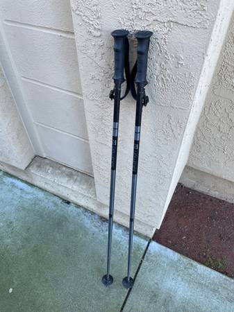 Salomon Ski Poles 1