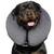 NEW MiDog size XL inflatable collar neck donut protective recover cone 1 thumbnail