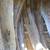 Slabs - Live Edge - Large and Small 19 thumbnail