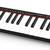 AKAI Professional LPK25 Midi Keyboard 2 thumbnail