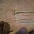 B.A.C. Apprentice Trombone • BAC-SL-310 23 thumbnail