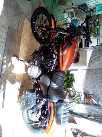 2021 Harley Davidson 883 iron lx (Hobe Sound)63832903155713121