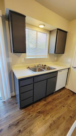 $1,195 / 1br - 640ft2 - Chic 1 bed 1 bath! (Fresno)63873104494467121