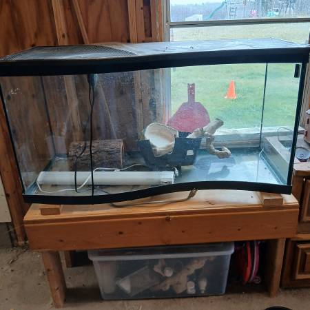 Tank, Stand, and Reptile Accessories 1