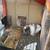 Holland Lop and Netherland Dwarf Rabbits 8 thumbnail