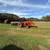Bushhogging/foodplot prep 1 thumbnail