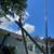 1987 Hobie 17 Catamaran – Fully Refurbished + Trailer + Storage Tent 5 thumbnail