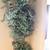 silk trees, boxes of silk flowers, silk plants in baskets, dry flowers 8 thumbnail