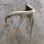 Antlers-$10 and up 2 thumbnail