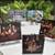 Light Up Canvas-$15 each 10 thumbnail