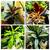 So Many Pretty Plants, starting at $5 2 thumbnail