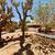 3 bdrm + den home on half-acre 20 thumbnail