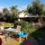 Moving IN/OUT Need Yard Clean Up ? Sprinklers, Drips repair 23 thumbnail