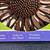 Sunflower Wind Spinner Yard Garden Decor new in box 2 thumbnail