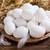 Leghorn Hens / Chickens / Gallinas / Laying Hens / Pullets 4 thumbnail
