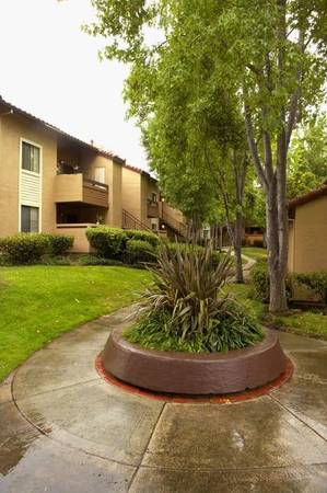 $2,846 / 2br - 978ft2 - Acceso a Internet, Renovaciones Interiores Parciales, Transporte Público (san jose este)63873333899395123