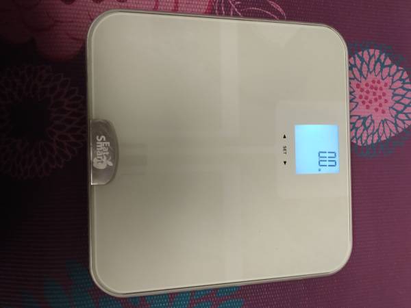EatSmart Precision GetFit Body Fat Scale, Glass 1