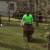 🌳🍃🌺Mary's Landscaping Svcs INC🌺🍃 19 thumbnail