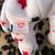 Original TY Beanie Baby *GLORY*- DOB: 07/04/1997 4 thumbnail