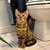 Bengal Kitten for Sale (Female) 1 thumbnail