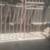 Beautiful artisan wrought iron gate 5 thumbnail