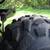 Polaris Sportsman 335 4x4 nice shape 16 thumbnail