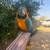 Macaw 6 thumbnail