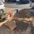 Fill dirt 1 thumbnail
