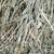 Small Pet Select Orchard Grass Hay Pet Food 2 thumbnail