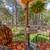 Lakeside Split Level with 4 beds & 3 baths 5 thumbnail