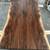 SLAB table tops for sale....cherry, walnut, maple, elm 15 thumbnail