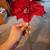 Poinsettias 2 thumbnail