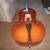 Samuel Eastman 2011 Bass Fiddle Model VB-80 Sz 3/4 Superb! 3 thumbnail
