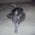 BRAND NEW LeSportsac Small Parker Backpack (Silver Crinkle Patent) 5 thumbnail