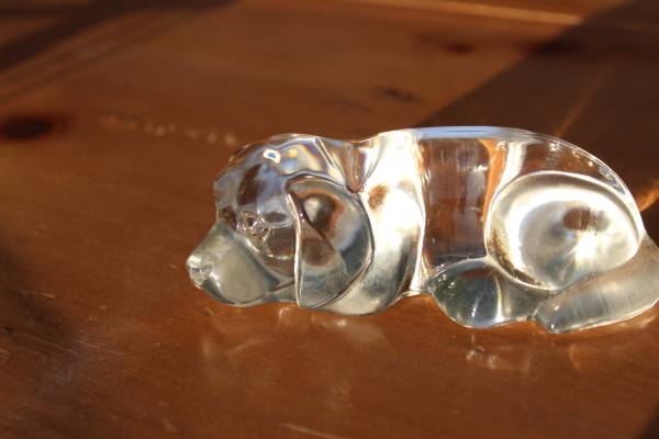 glass dog 1