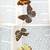 Butterfly Collection Papilionidae Papilio History WW2 Book 47 Insect B 12 thumbnail