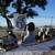 SKID STEER - INDUSTRIAL TREE SAW & STUMP GRINDERS - WWW.IDIGTX.COM 13 thumbnail