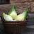 Heirloom German Filderkraut Cabbage Seeds 1 thumbnail