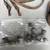 Leather, Bells, and Buckles 10 thumbnail