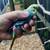 *** BABY PARAKEETS *** ready end of September 12 thumbnail