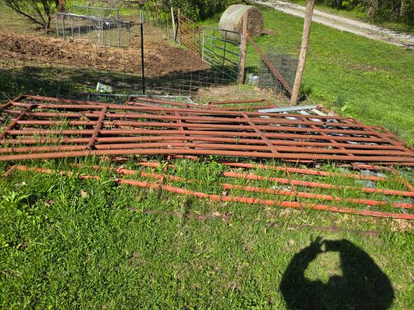 fencing 1
