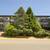 Lamplighter - 1 Bedroom - Available October 1st 22 thumbnail