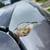 Auto Body/Paint Work. 2 thumbnail