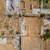 Land Offering In The Foothills of Altadena 5 thumbnail
